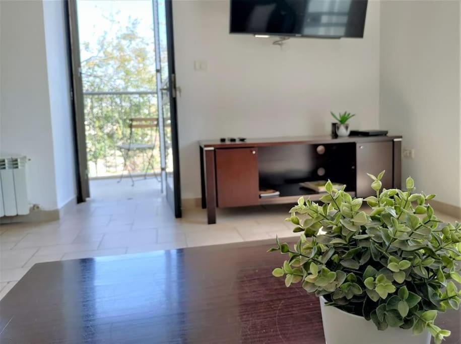 Family Apartment Near Old City Jerusalem Eksteriør billede
